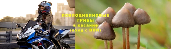 кристаллы Богородск
