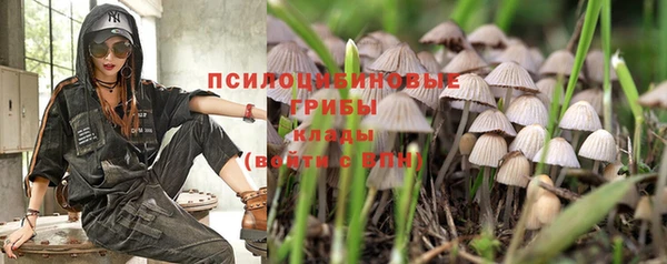 кристаллы Богородск