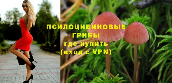 марки lsd Богородицк