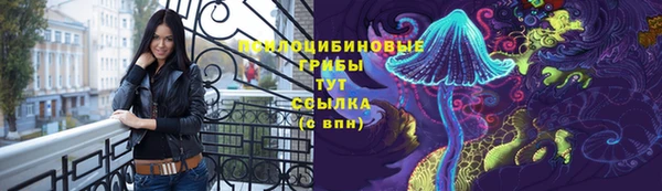 а пвп мука Богданович
