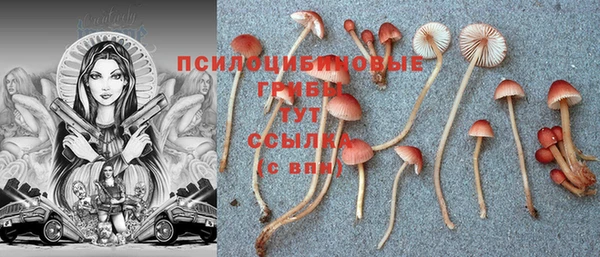 а пвп мука Богданович
