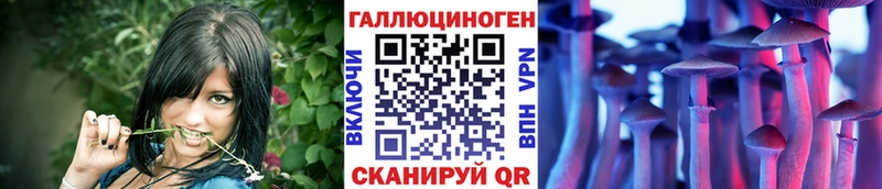 blacksprut ссылка  Мещовск  Псилоцибиновые грибы MAGIC MUSHROOMS 